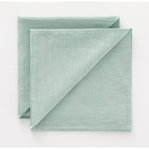 Pack 2 unidades servilletas Lino 100% Aqua  Categoría: 100% Lino liso  Calidad: Tejido 100% Lino. 195 grs.  Pack de servilletas con hilos naturales de lino orgánico. Un producto exclusivo