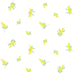 la tintura más sostenible del mercado